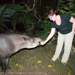 Red and Tapir